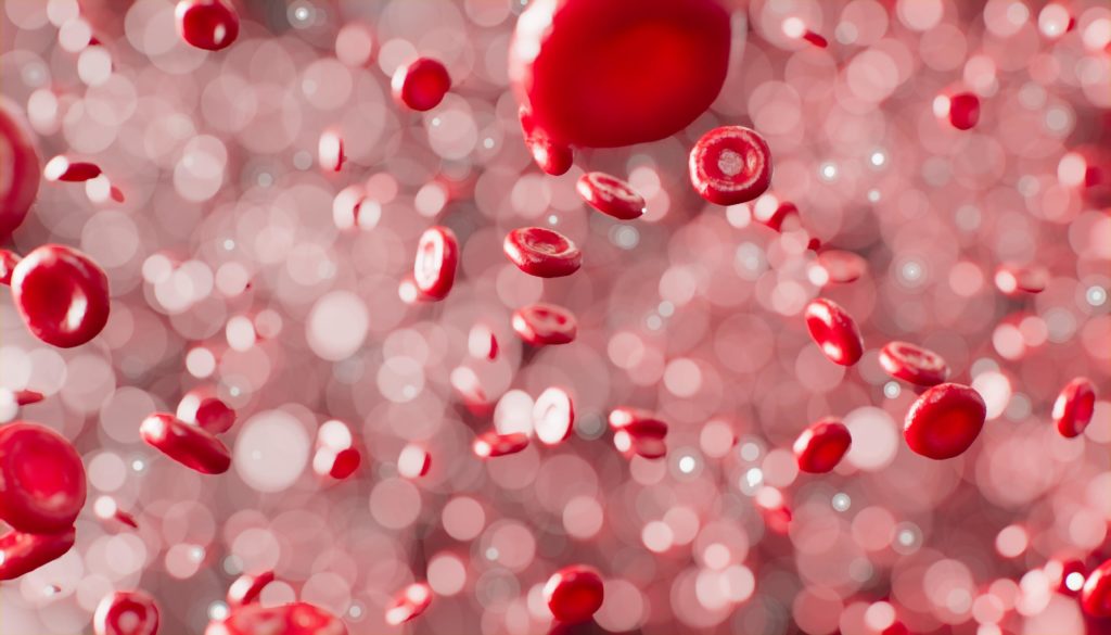 An image of red blood cells