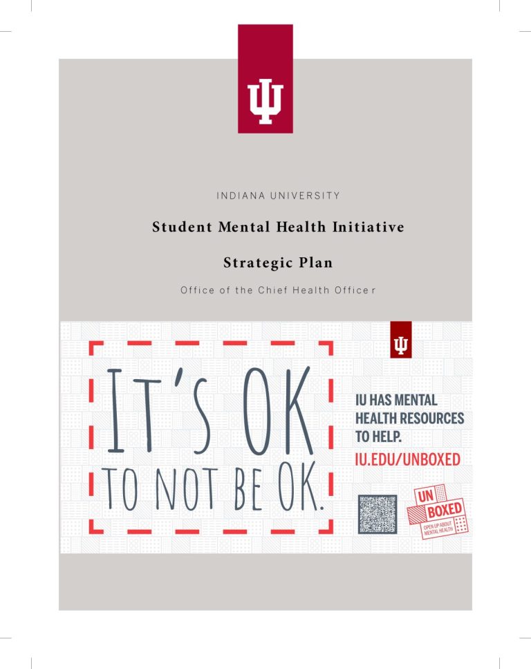 Photo cover for mental health strategic plan that says "it's okay to not be okay"