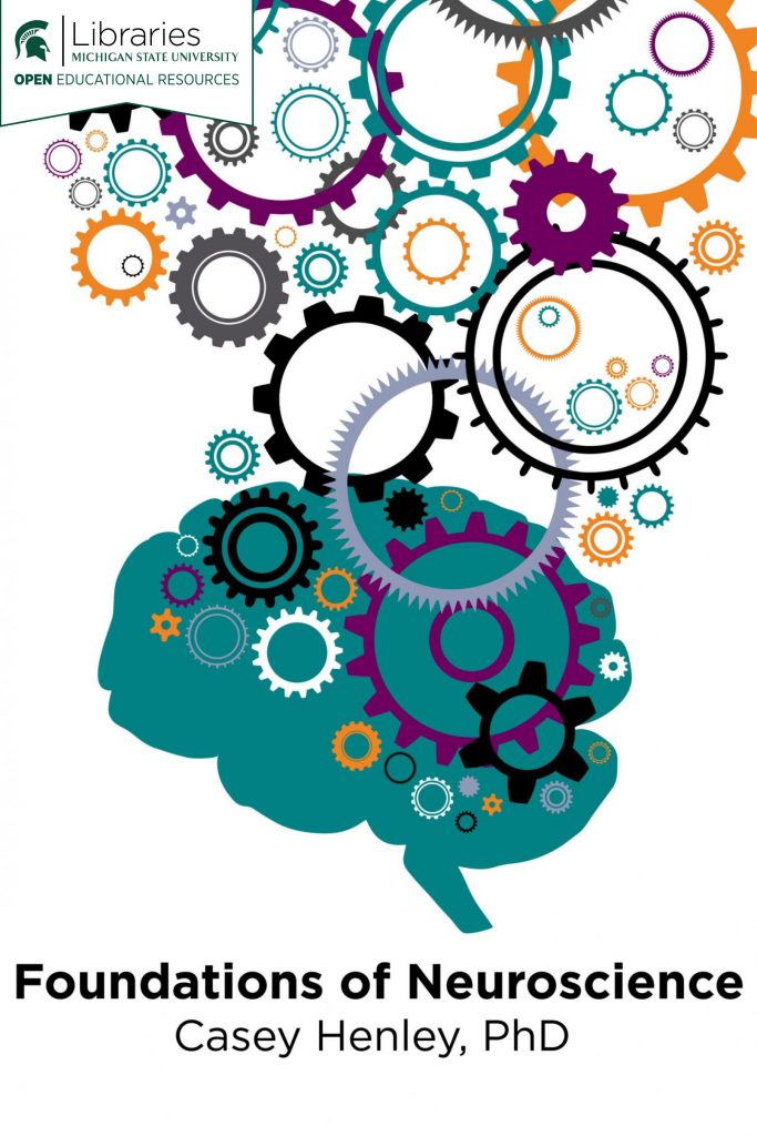 Foundations of Neuroscience book cover