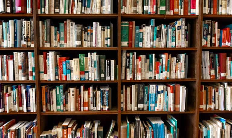 Vibrant library scene featuring wooden bookshelves filled with various books.
